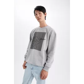 sweatshirt DeFacto, Color: Grey, Size: L