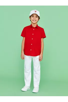 Рубашка LC Waikiki, Цвет: Красный, Размер: 7-8 лет, изображение 3