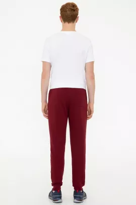 Спортивные штаны US POLO ASSN, Цвет: Бордовый, Размер: M, изображение 3