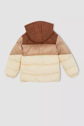 Куртка DeFacto, Цвет: Экрю, Размер: 6-7 лет, изображение 5