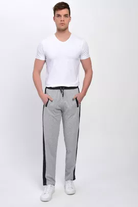 Спортивные штаны Dynamo, Цвет: Серый, Размер: 2XL, изображение 3