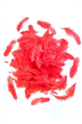 Декоративные перья 100 шт. BALON PARTİ, Цвет: Красный, Размер: STD