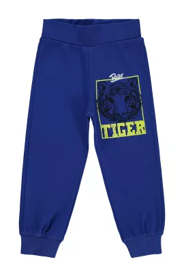 Спортивные штаны Civil Boys, Цвет: Синий, Размер: 24-36 мес.