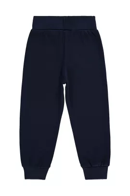 Спортивные штаны Civil Boys, Цвет: Темно-синий, Размер: 24-36 мес., изображение 2