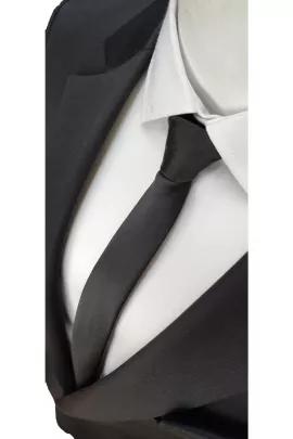 Галстук Elegante Cravatte, Цвет: Черный, Размер: STD, изображение 2
