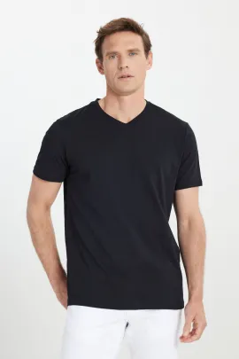 Мужская футболка с V-образным вырезом, черная, Slim Fit, узкий крой ALTINYILDIZ CLASSICS, Reňk: Gara, Ölçeg: XL