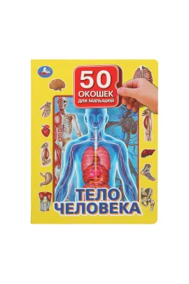 Тело человека. 50 окошек для малышей. 200х260 мм. 10 картонных страниц Умка