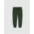 Спортивные штаны LC Waikiki для мальчиков 5-6 лет, цвет зеленый, материал хлопок, средней толщины, однотонные, сделано в Турции  LC Waikiki, Цвет: Зеленый, Размер: 5-6 лет