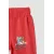 Спортивные штаны DeFacto, Цвет: Красный, Размер: 8-9 лет, изображение 2