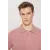 Мужская футболка с поло воротником, Slim Fit, узкая посадка, не мнется ALTINYILDIZ CLASSICS, Reňk: Gülgüne, Ölçeg: S, 8 image