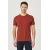 Мужская футболка Slim Fit с круглым вырезом, базовый дизайн ALTINYILDIZ CLASSICS, Reňk: Çuňňur gyzyl , Ölçeg: L