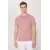 Мужская футболка с поло воротником, Slim Fit, узкая посадка, не мнется ALTINYILDIZ CLASSICS, Reňk: Gülgüne, Ölçeg: M, 2 image