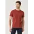 Мужская футболка Slim Fit с круглым вырезом, базовый дизайн ALTINYILDIZ CLASSICS, Reňk: Çuňňur gyzyl , Ölçeg: L, 4 image