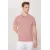 Мужская футболка с поло воротником, Slim Fit, узкая посадка, не мнется ALTINYILDIZ CLASSICS, Reňk: Gülgüne, Ölçeg: S, 6 image