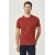 Мужская футболка Slim Fit с круглым вырезом, базовый дизайн ALTINYILDIZ CLASSICS, Reňk: Çuňňur gyzyl , Ölçeg: L, 5 image