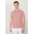 Мужская футболка с поло воротником, Slim Fit, узкая посадка, не мнется ALTINYILDIZ CLASSICS, Reňk: Gülgüne, Ölçeg: S, 7 image