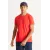 Мужская футболка Slim Fit с круглым вырезом, базовый дизайн ALTINYILDIZ CLASSICS, Reňk: Gyzyl, Ölçeg: S, 6 image