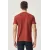 Мужская футболка Slim Fit с круглым вырезом, базовый дизайн ALTINYILDIZ CLASSICS, Reňk: Çuňňur gyzyl , Ölçeg: L, 6 image