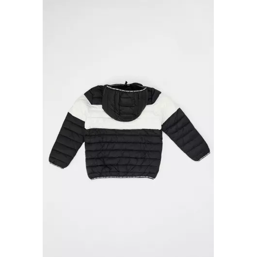Куртка DeFacto, Цвет: Черный, Размер: 3-4 года, изображение 6
