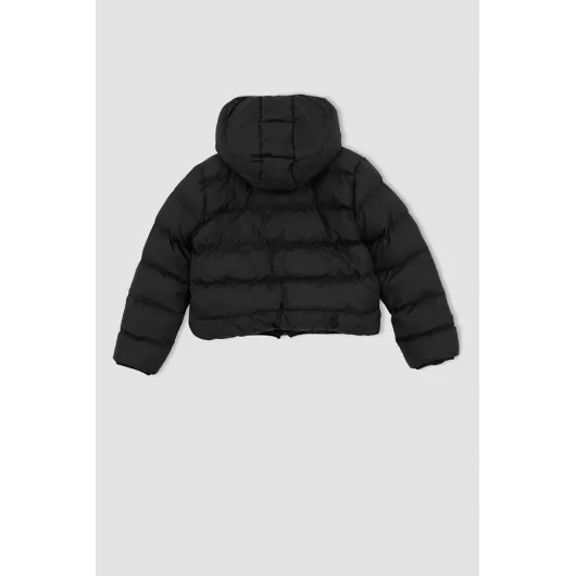 Куртка DeFacto, Цвет: Черный, Размер: 8-9 лет, изображение 5