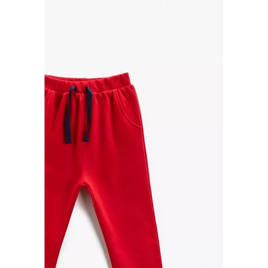 Спортивные штаны Koton, Цвет: Красный, Размер: 6-9 мес., изображение 3
