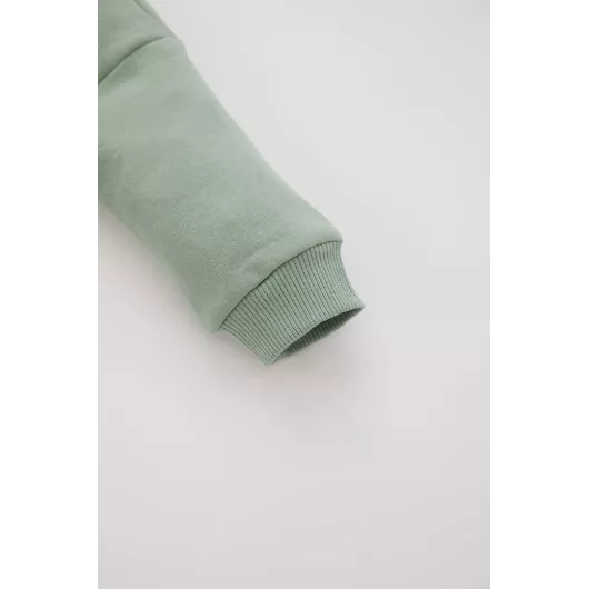 Комплект DeFacto, Цвет: Зеленый, Размер: 4-5 лет, изображение 4