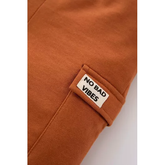 Спортивные штаны DeFacto, Цвет: Коричневый, Размер: 18-24 мес., изображение 3