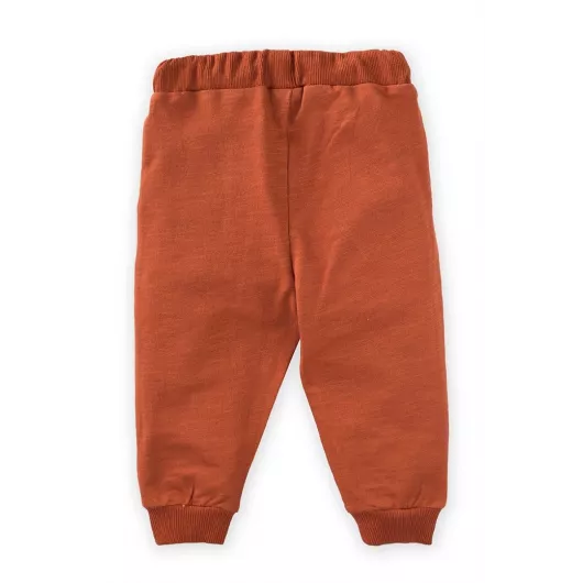 Спортивные штаны Cigit, Цвет: Коричневый, Размер: 18-24 мес., изображение 2