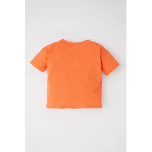 Футболка DeFacto, Цвет: Оранжевый, Размер: 12-18 мес., изображение 4