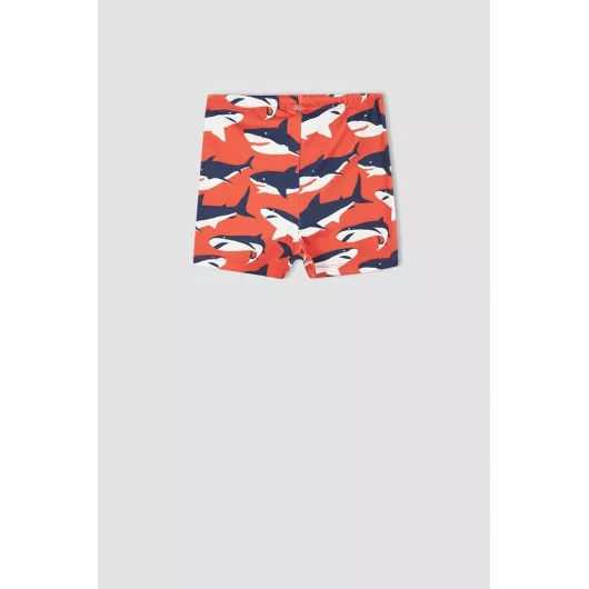 Шорты для плавания DeFacto, Цвет: Красный, Размер: 3-4 года, изображение 3