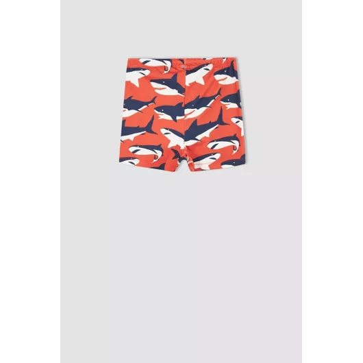 Шорты для плавания DeFacto, Цвет: Красный, Размер: 9-10 лет, изображение 3