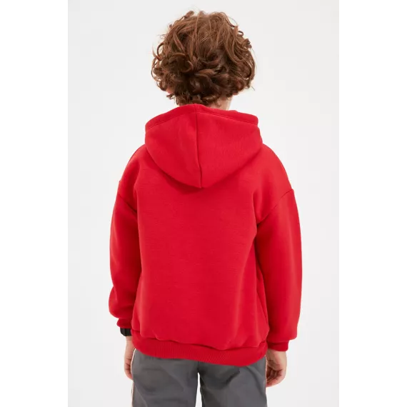 Свитшот толстый TRENDYOLKIDS, Цвет: Красный, Размер: 5-6 лет, изображение 5