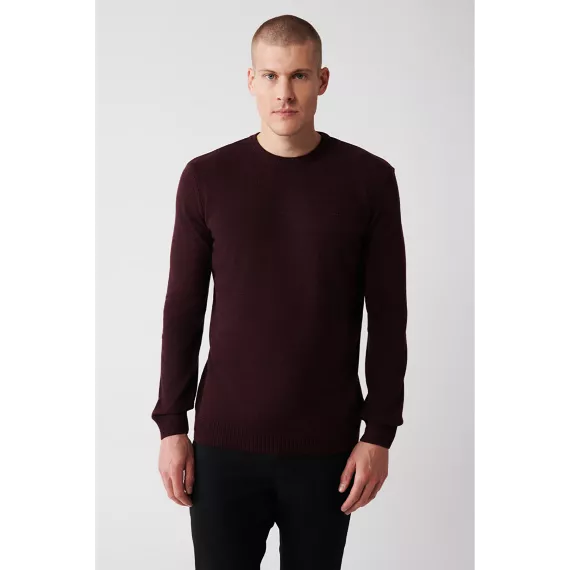 Erkek žempir AVVA, Reňk: Çuňňur gyzyl , Ölçeg: XL, 3 image