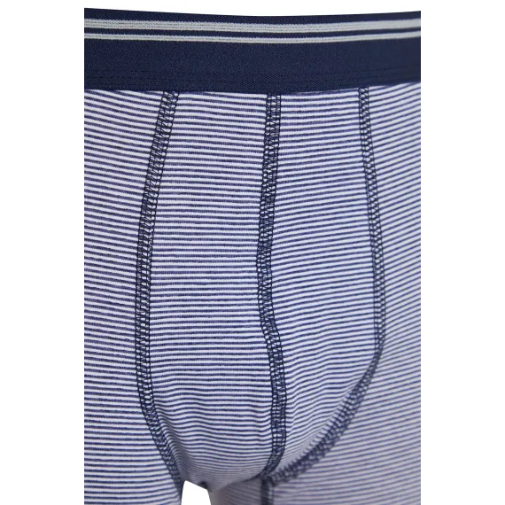 Боксеры 3 шт. TRENDYOL MAN, Цвет: Синий, Размер: 2XL, изображение 3