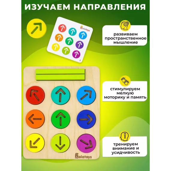 Развивающий деревянный набор Монтессори 5-в-1: Логика, Моторика, Речь, Счет и Координация Alatoys, изображение 3