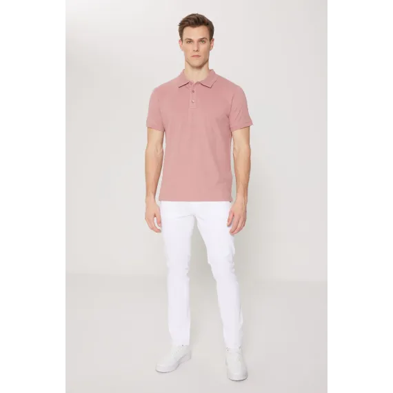 Мужская футболка с поло воротником, Slim Fit, узкая посадка, не мнется ALTINYILDIZ CLASSICS, Reňk: Gülgüne, Ölçeg: S, 4 image