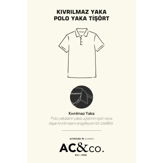 Мужская футболка с поло воротником, Slim Fit, узкая посадка, не мнется ALTINYILDIZ CLASSICS, Reňk: Gülgüne, Ölçeg: S, 5 image