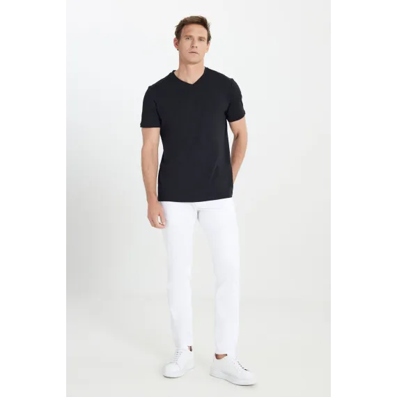 Мужская футболка с V-образным вырезом, черная, Slim Fit, узкий крой ALTINYILDIZ CLASSICS, Reňk: Gara, Ölçeg: S, 2 image