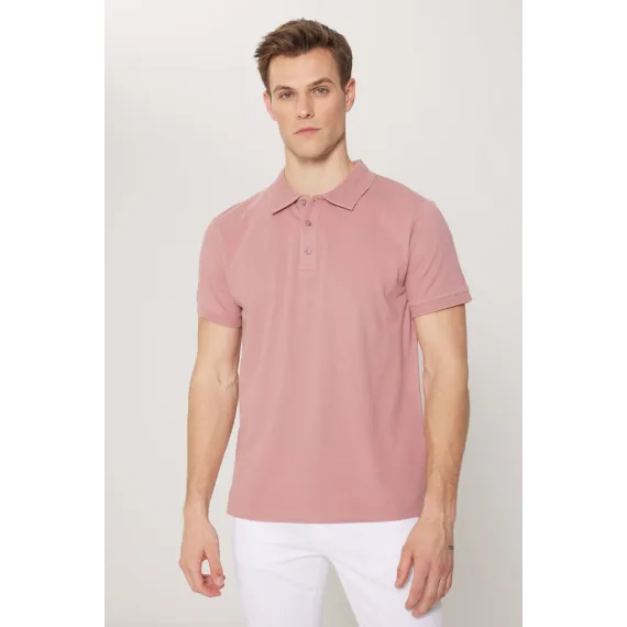 Мужская футболка с поло воротником, Slim Fit, узкая посадка, не мнется ALTINYILDIZ CLASSICS, Reňk: Gülgüne, Ölçeg: S, 7 image