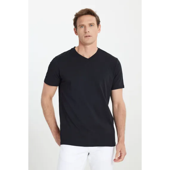 Мужская футболка с V-образным вырезом, черная, Slim Fit, узкий крой ALTINYILDIZ CLASSICS, Reňk: Gara, Ölçeg: S