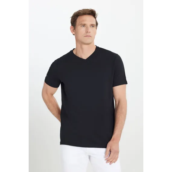 Мужская футболка с V-образным вырезом, черная, Slim Fit, узкий крой ALTINYILDIZ CLASSICS, Reňk: Gara, Ölçeg: S, 3 image