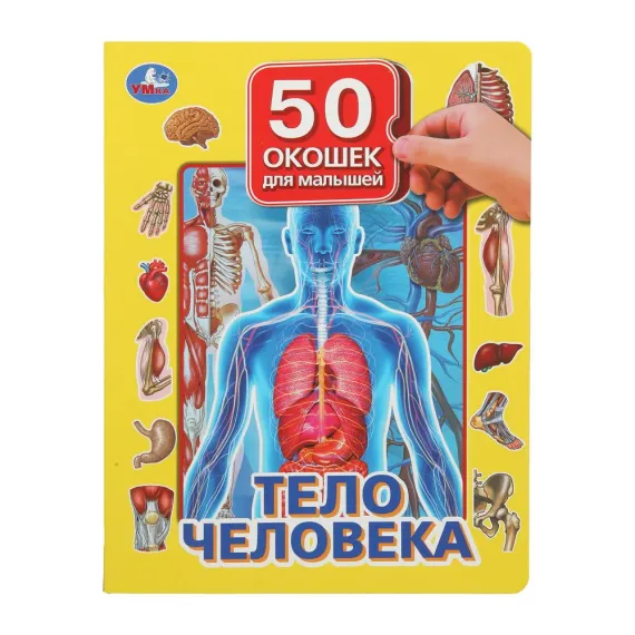 Тело человека. 50 окошек для малышей. 200х260 мм. 10 картонных страниц Умка