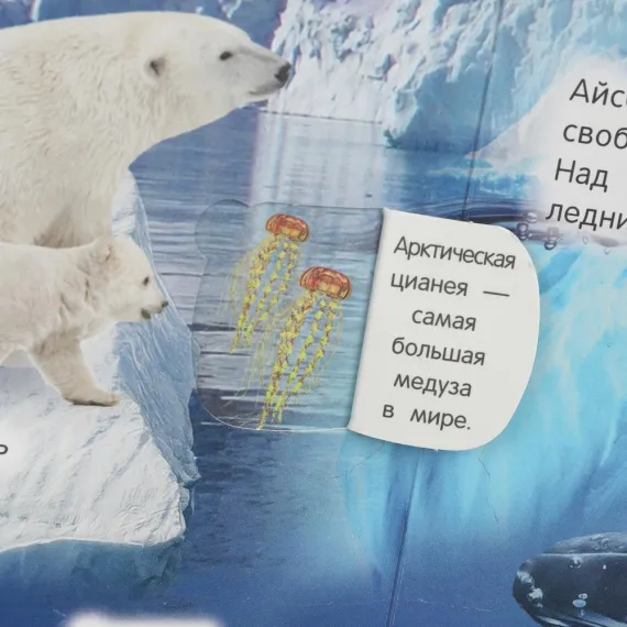 Животные. 50 окошек для малышей. 200х260 мм. 10 картонных страниц Умка, изображение 6