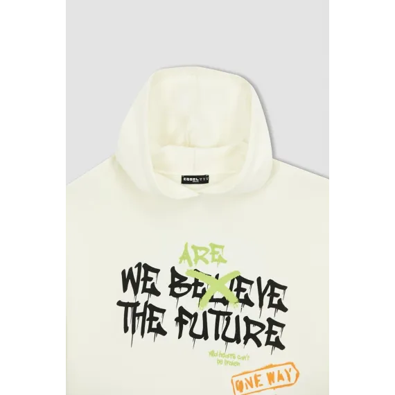 Свитшот DeFacto, Цвет: Экрю, Размер: L, изображение 7