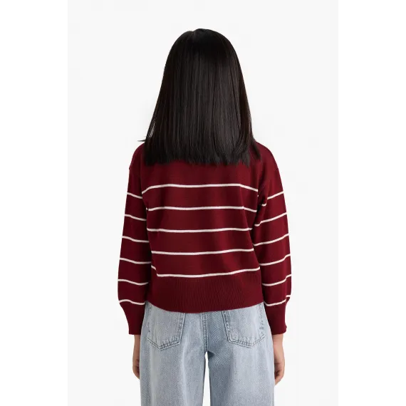 Свитер детский поло с полосками стандартный крой DeFacto, Цвет: Бордовый, Размер: 7-8 лет, изображение 6