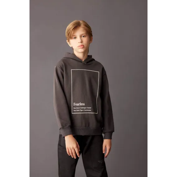 Свитшот детский DeFacto, Цвет: Серый, Размер: 5-6 лет, изображение 3