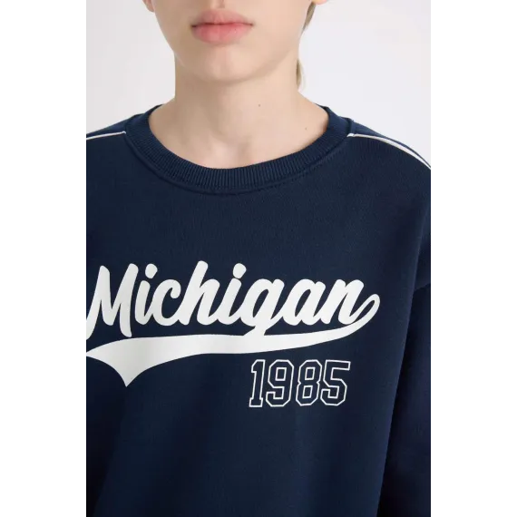 Свитшот для мальчиков DeFacto, Цвет: Синий, Размер: 9-10 лет, изображение 4