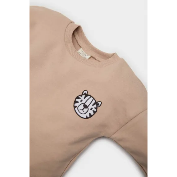 Комплект двойка  DeFacto, Цвет: Бежевый, Размер: 4-5 лет, изображение 3