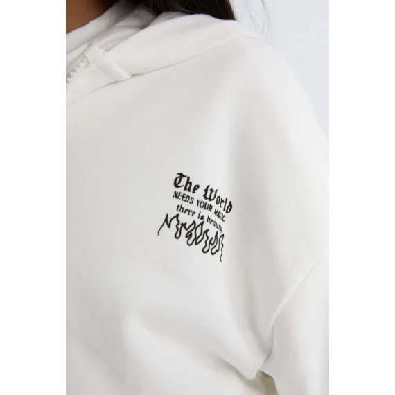 Свитшот с капюшоном и принтом  DeFacto, Цвет: Экрю, Размер: 5-6 лет, изображение 4